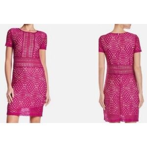 ABS Collection Women’s Size 6 Orchid Fuchsia Lace Mini Dress Short Sleeve NWT